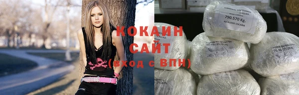 крисы Кодинск
