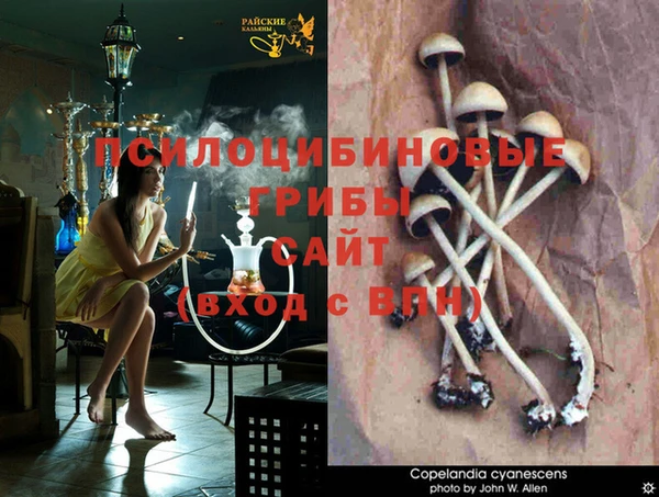 каннабис Коряжма