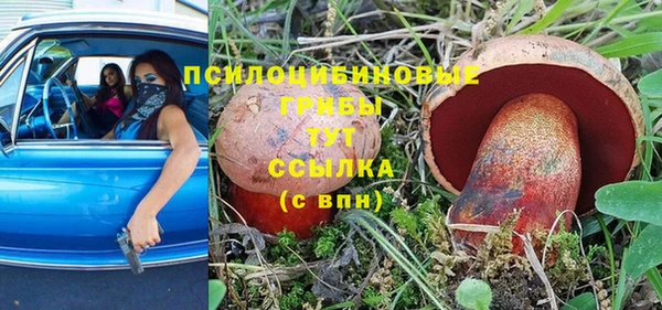 spice Чита